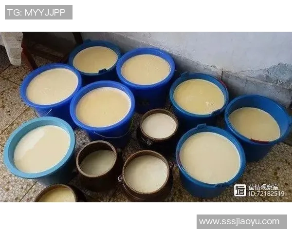 足球明星对酸奶事件的深度反思与未来影响分析 足球明星对酸奶事件的深度反思与未来影响分析