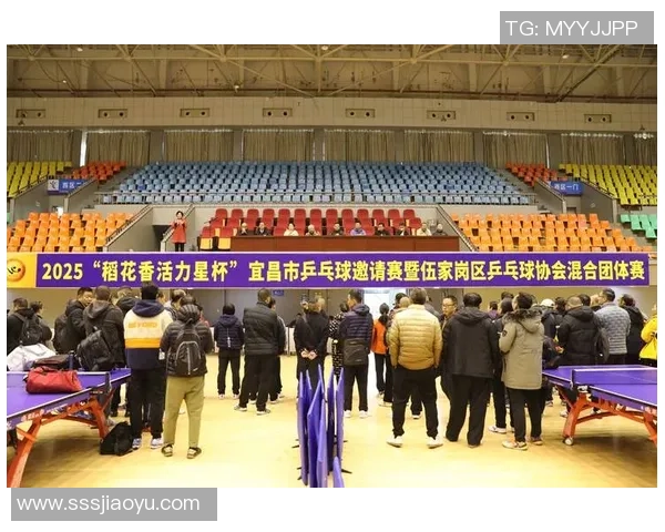 热议乒乓球：重庆乒乓球队的个人能力变革